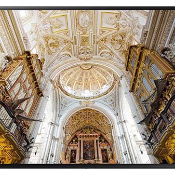 Monitor Led 49" 4K con Player Tizen 4.0 QB49N