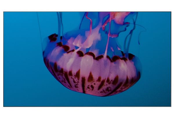 Monitor per videowall Samsung 46" UH46N-E