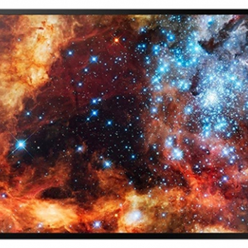 MONITOR LED 49" PROFESSIONALE SAMSUNG DB49J