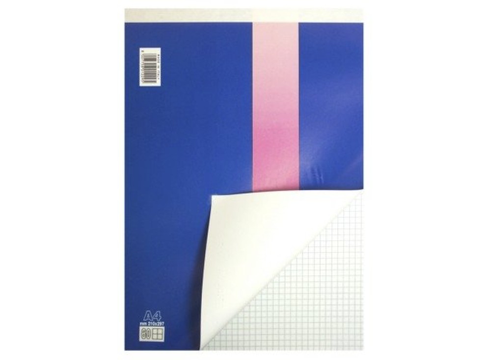 BLOCCO BLASETTI BRISTOL A4 60 FF. Q.MM.5