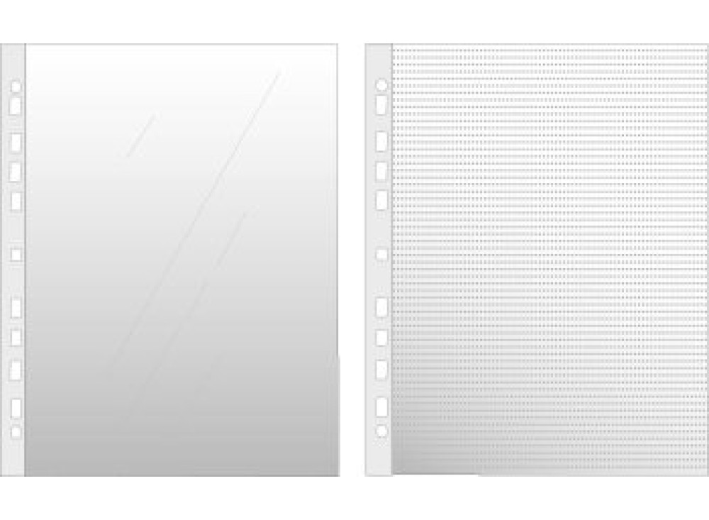 Buste Trasparenti C10 a Perforazione Universale con Banda Rinforzata