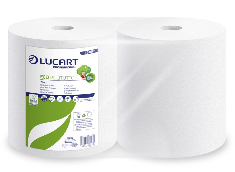 Carta Asciugatutto Milleusi, 2 Veli, 100% Carta Riciclata Rigenerata, 2 Rotoli