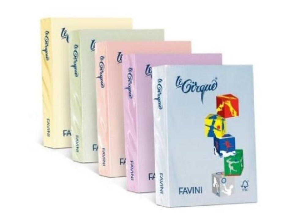 Carta Favini Le Cirque A4 Camoscio 80g 0812038