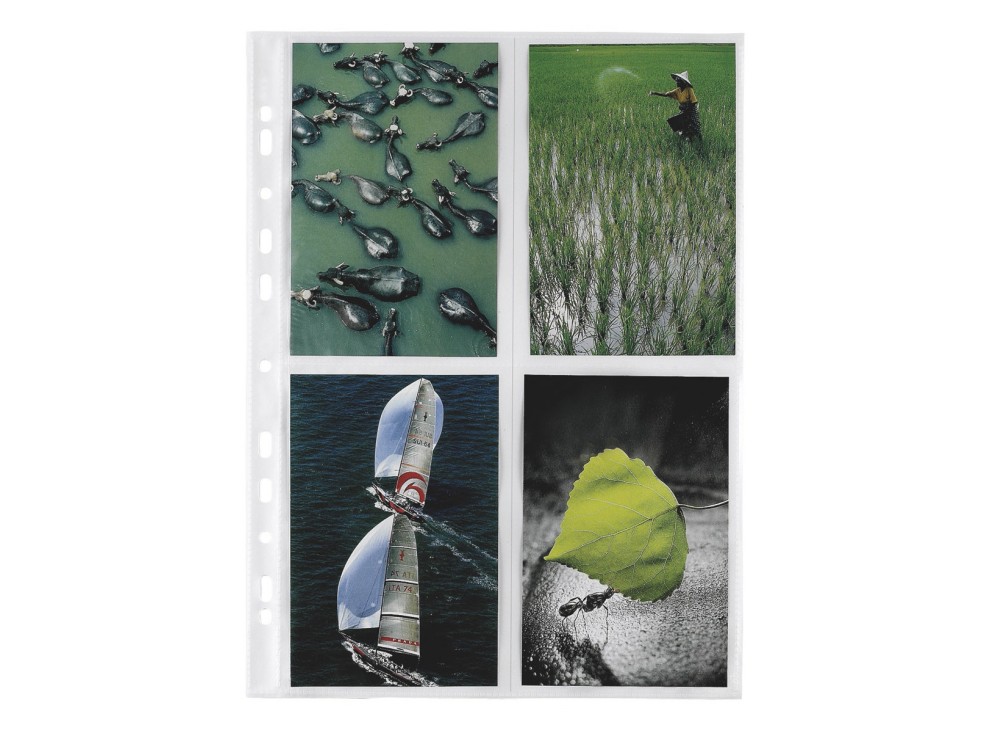 Cartella Portafoto, in PPL, Vari Formati, 10 Pezzi 0050635