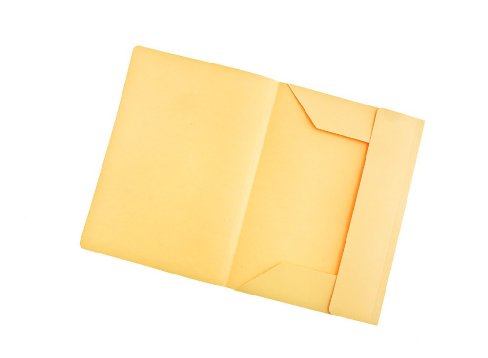 Cartelle Bristol con 3 Alette, 200 g, 25/50 Pezzi, Vari Colori