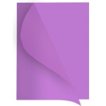 Cartelline semplici Forever® "Flash 80" Exacompta