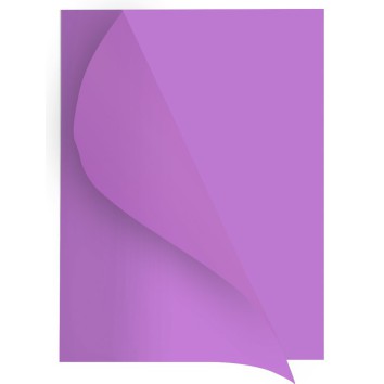 Cartelline semplici Forever® "Flash 80" Exacompta