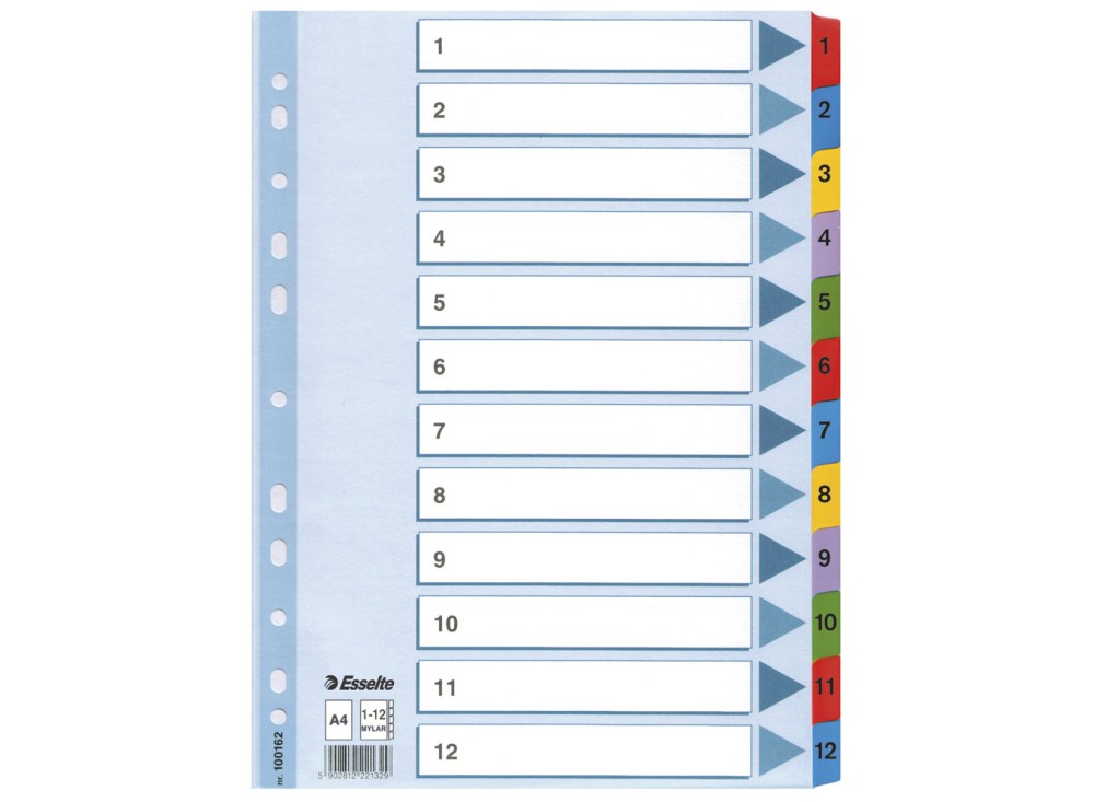 Divisori in Mylar con Tasti 1-12/1-20, A4, Numerici/Alfabetici 0R4049 0081357