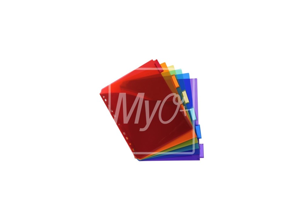 Divisori in Polipropilene A4 Maxi, Multicolore, 6 Tacche Neutre 0081520