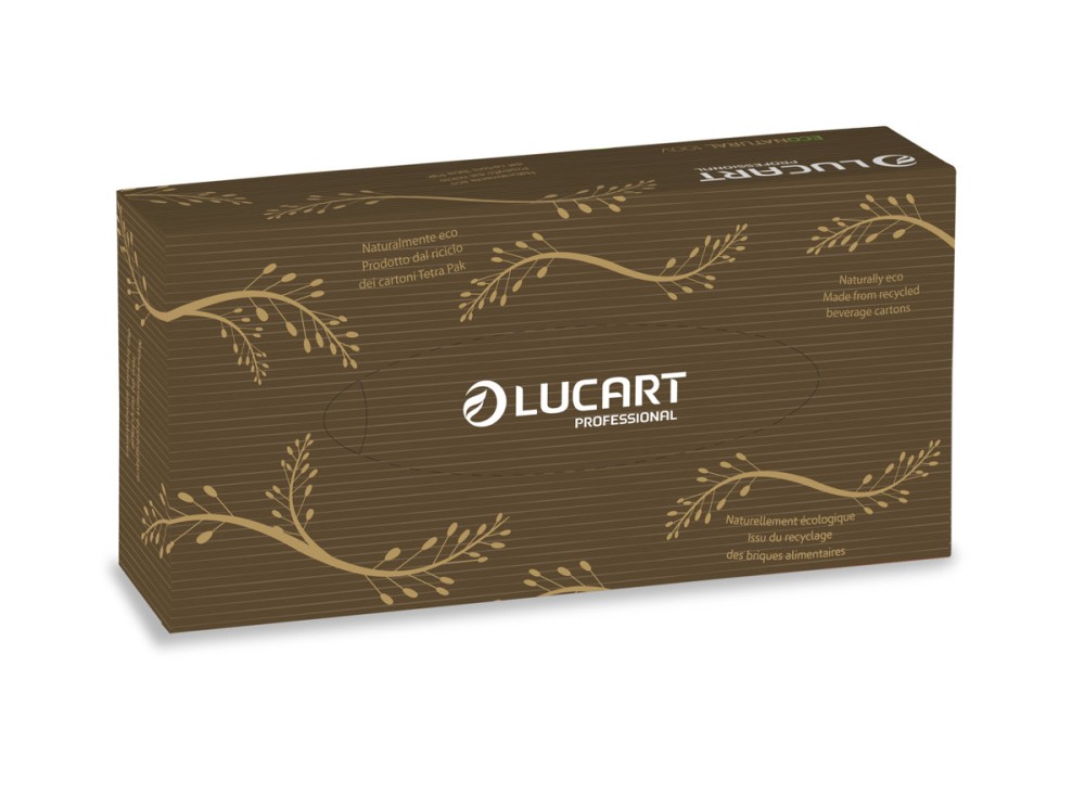 Fazzoletti EcoNatural, Confezione da 10 Pacchetti, 100% Carta Riciclata