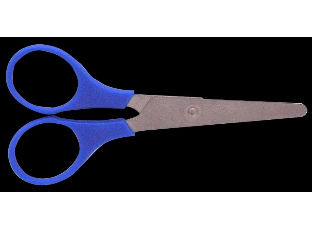 Forbici 10 cm Lame in Acciaio Inox