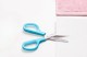 Forbici in acciaio inox 17,5 cm con lame curve Curved Blade
