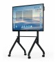 MONITOR INTERATTIVO WACEBO 65 ENTRY LEVEL