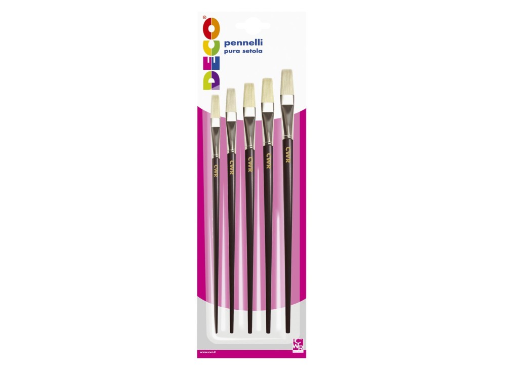 Pennelli in Setola, 5 Pezzi, Vari Formati e Misure