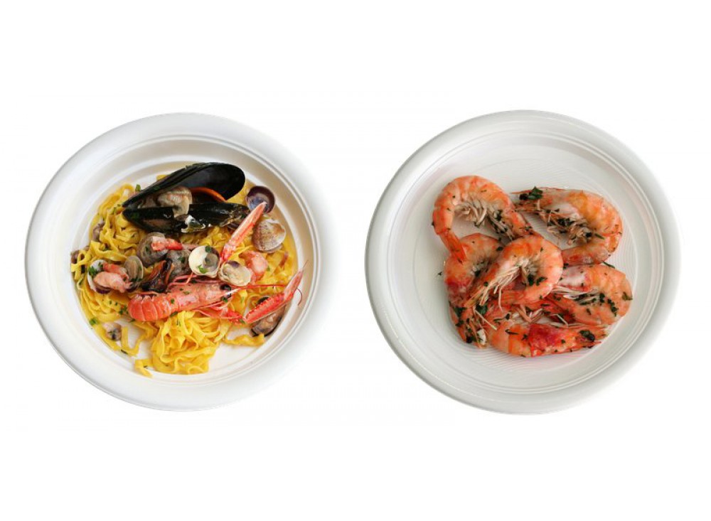 Piatti monouso Dopla by Gio’Style