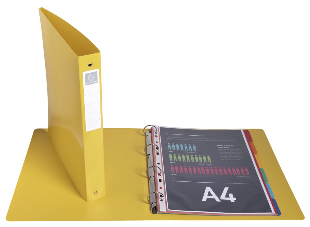 Portalistino a 4 Anelli Tondi Diametro cm 3, Formato A4, in PPL Riciclato, Confezione 4 Colori Assortiti