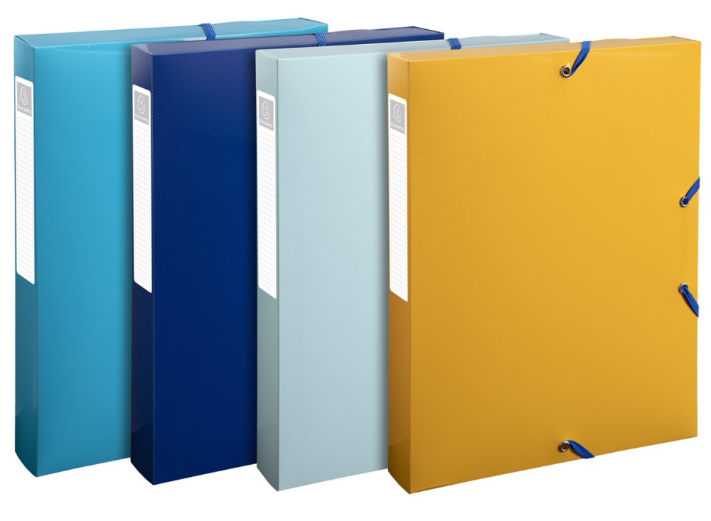 Portaprogetti Bee Blue, In Polipropilene Riciclato, con Elastico, Dorso cm 4, Confezione da 8 Pezzi, Colori Assortiti