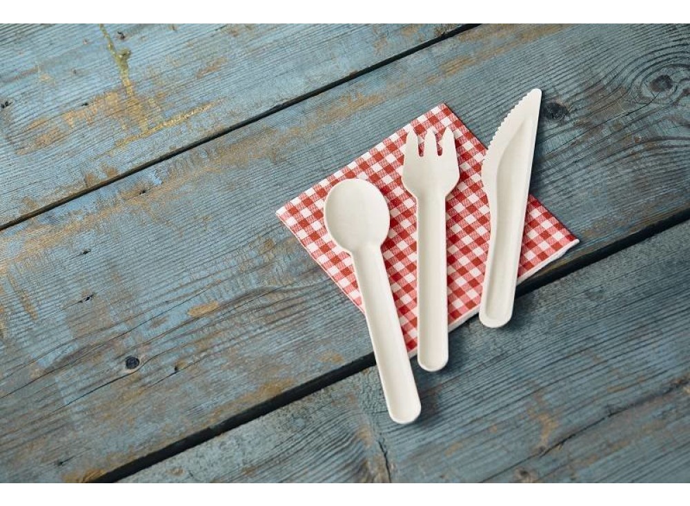 Posate in Polpa di Cellulosa Cm 16 Pz 50