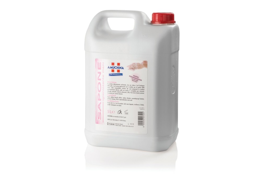 Sapone Igienizzante Mani, con Tricolsan Antibatterico, Tanica da 5 lt EX50000850