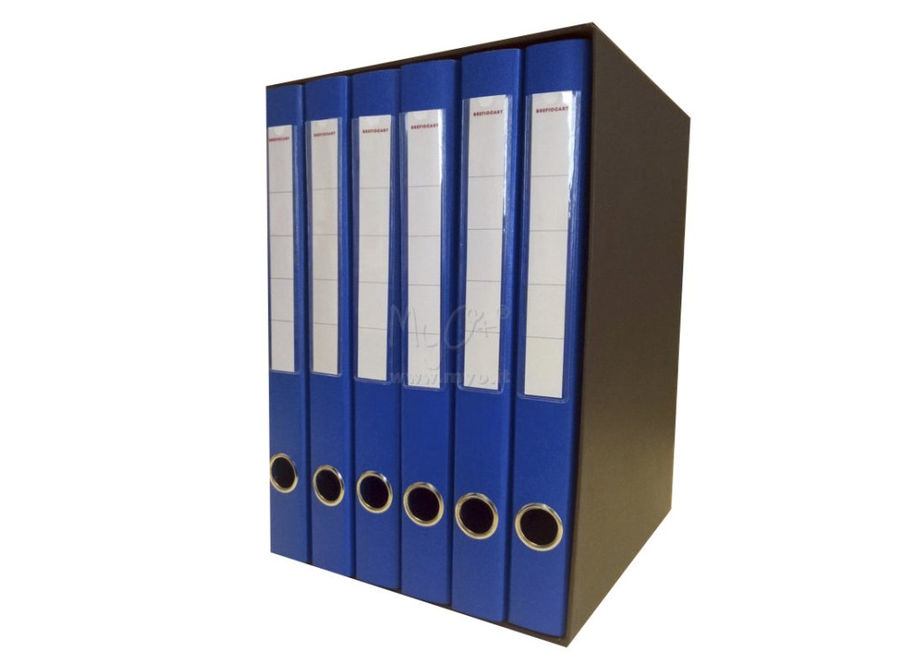 Sestetto Cartelle Portadocumenti, 3 Lembi, Dorso 4 Cm