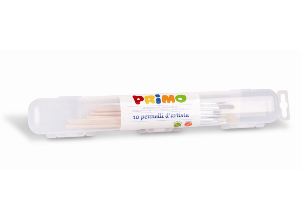 Set 10 pennelli con astuccio