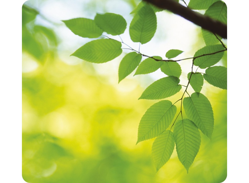 Tappetino per Mouse Earth Series, Stampa a Foglie, 22,8x20,3 Cm